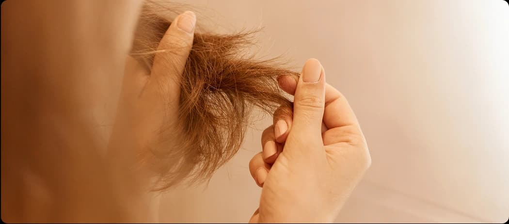 Chemically Damaged Hair