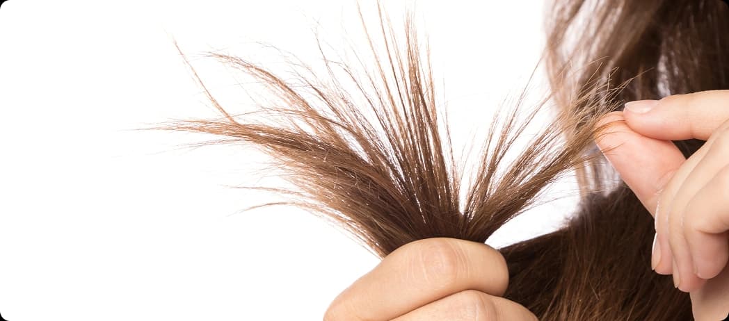Frayed or Split Hair Tips